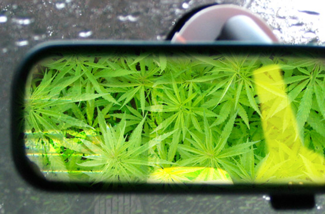 Les sujets d'une étude ont fumé du cannabis pour évaluer ses effets sur la  conduite