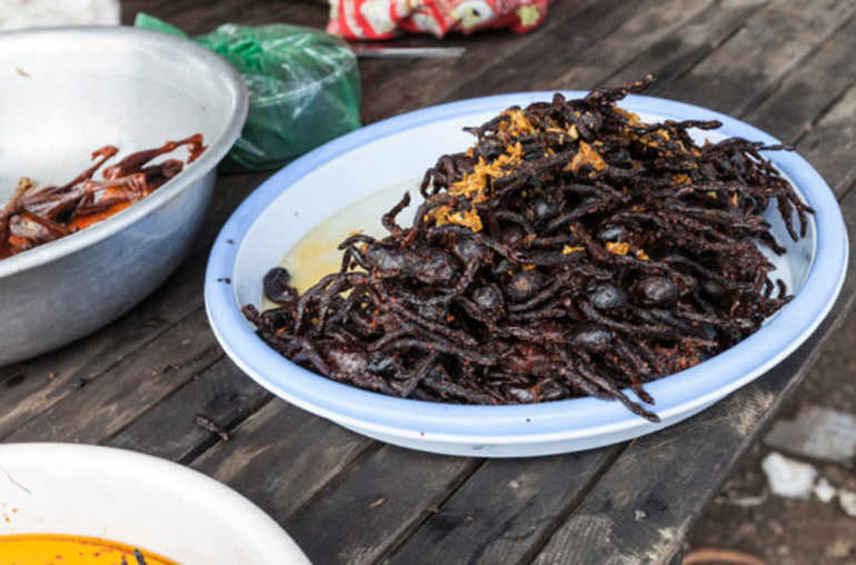 L'élevage du vers de farine - Manger des insectes : l'entomophagie en  cuisine