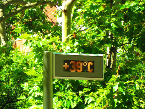 canicule_arret_csrdiaque