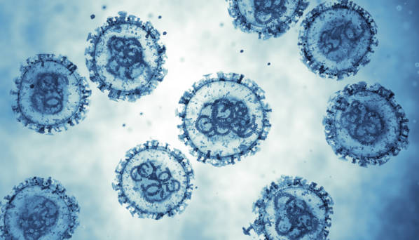 hantavirus_mesures_oms