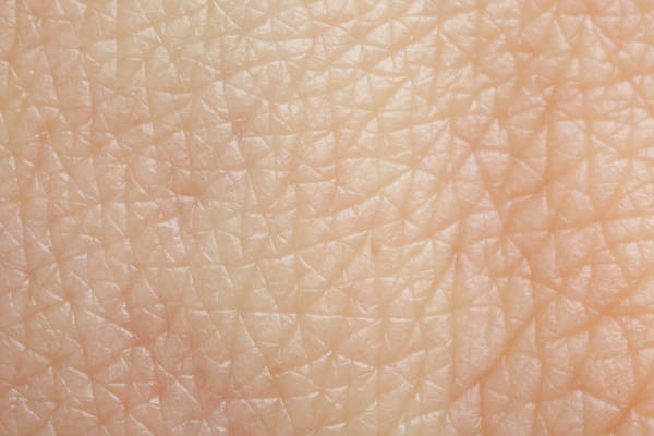 temperature_influence_cerveau